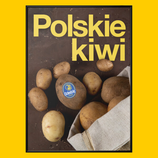 Polskie Kiwi Plakat Polskie Kiwi